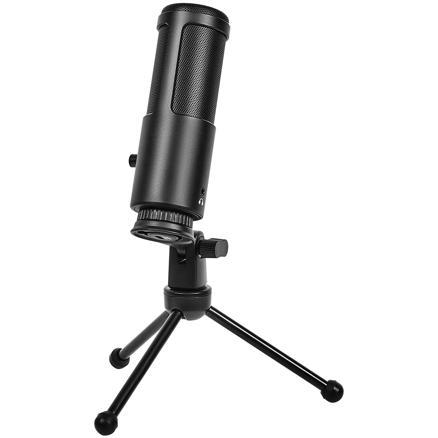 LORGAR Voicer 521